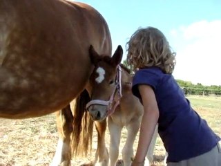 Baïa et son licol
