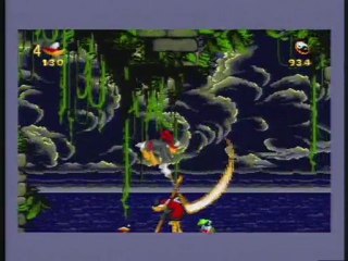 Test Donald in Maui Mallard