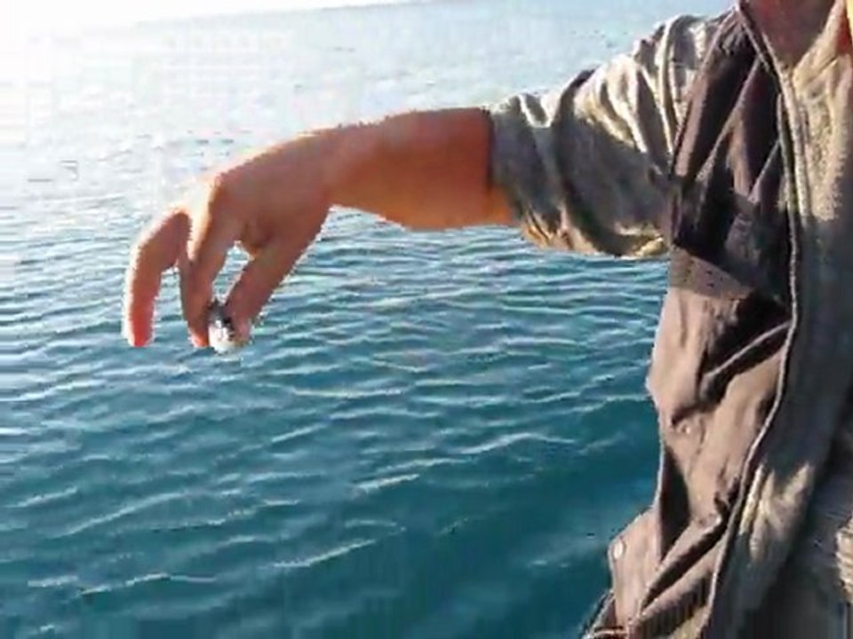 milanuru geri iade 2