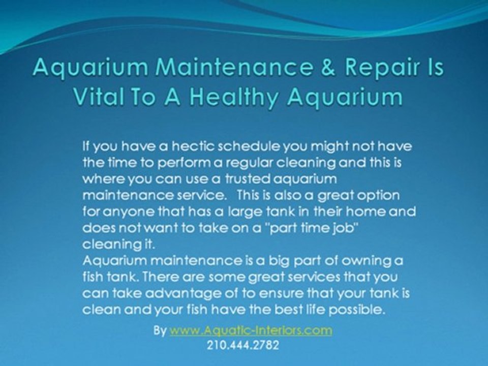 Aquarium Maintenance & Servicing Is A Must To Have A Healthy Custom Aquarium
