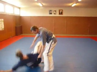 -GOSHINJUTSU  YOSEIKAN- ( self défense)