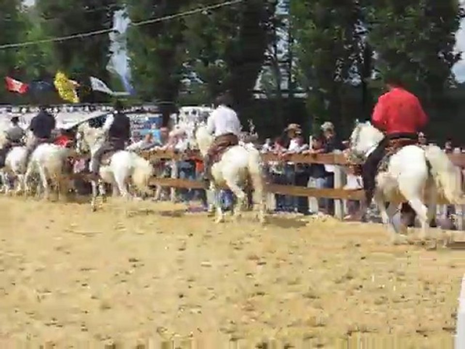 Camarguais du Vexin... Salut 1