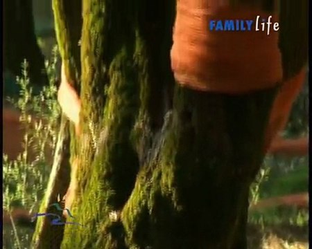 Sinopoli - Tutti al parco (parco dell'Aspromonte)