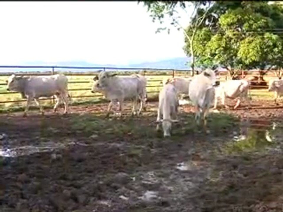 17 mayo 2011 - 3