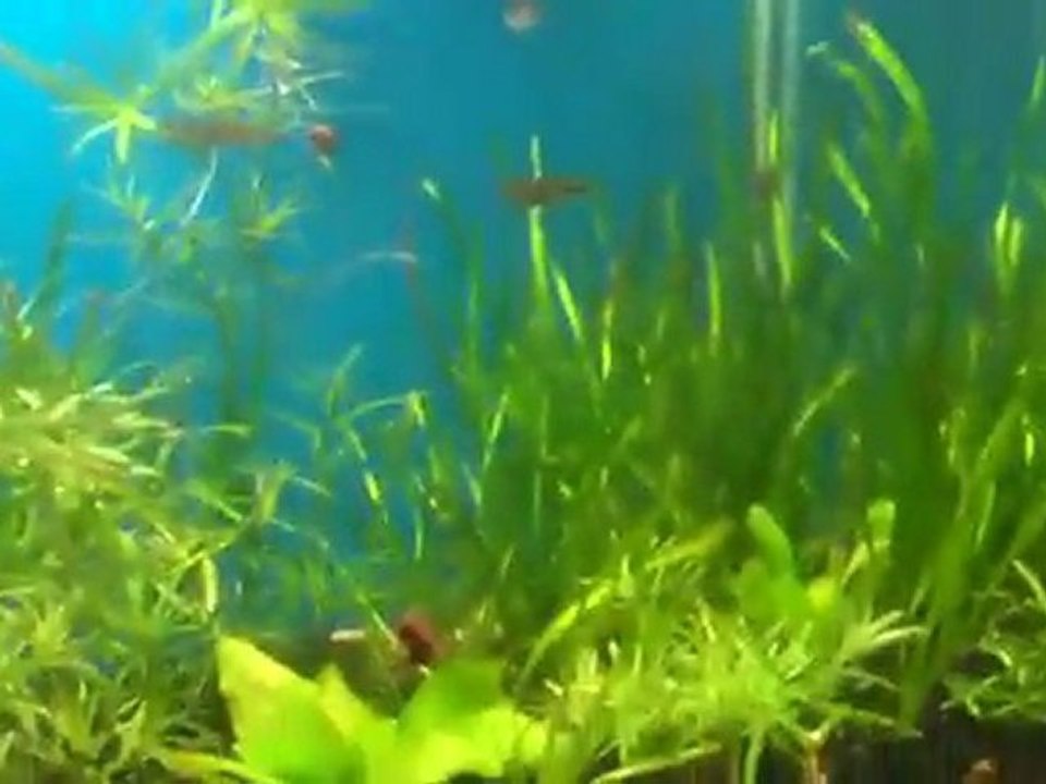 Half Dirt, Half no Dirt update. Why not use the dirt?