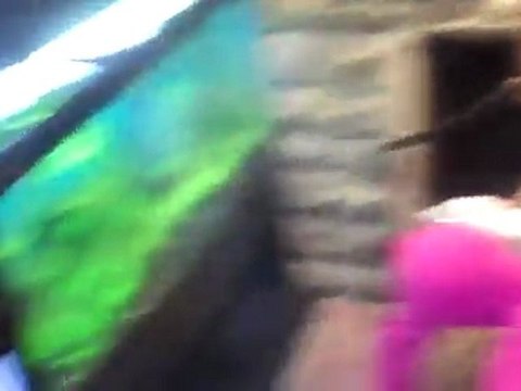 Plants for sale. Species available.