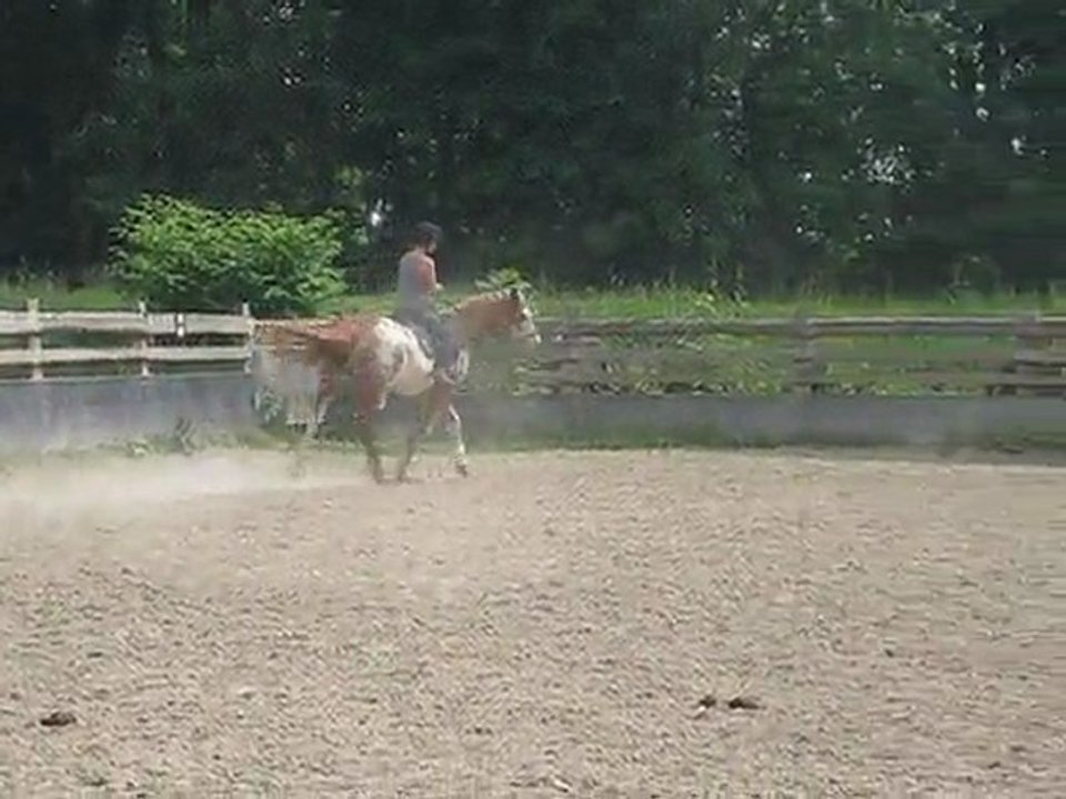 Jack au travail (2ème séance)