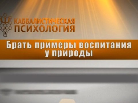 Брать примеры воспитания у природы