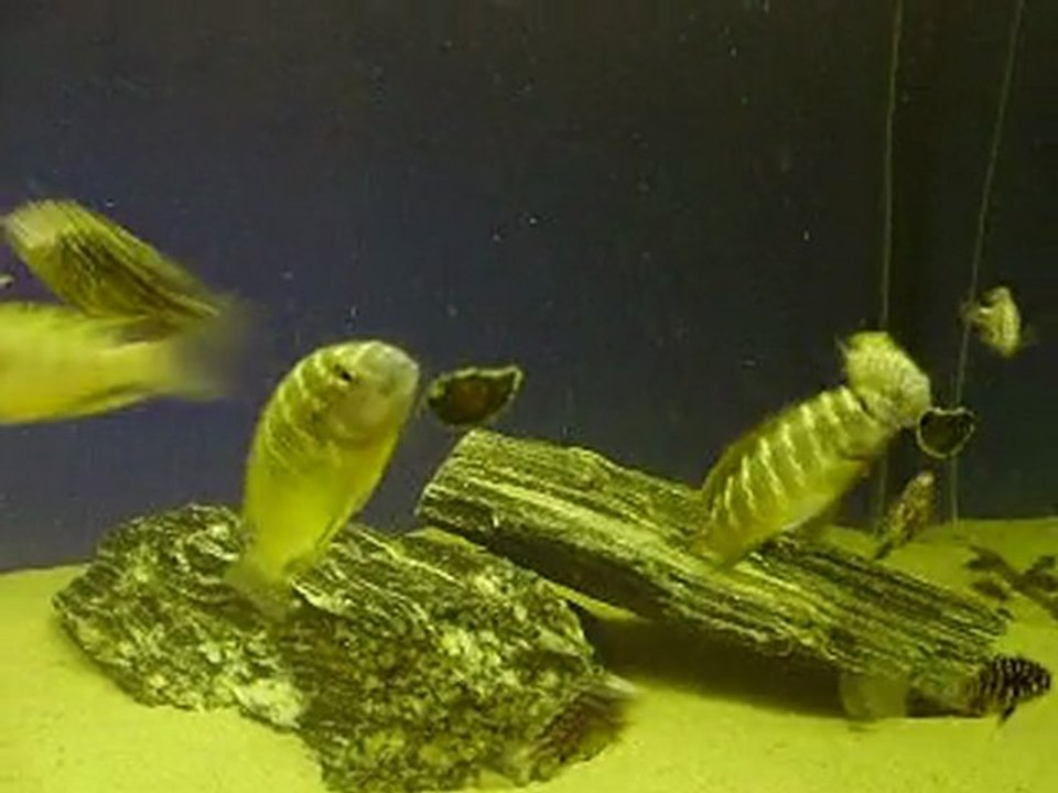 P2070077