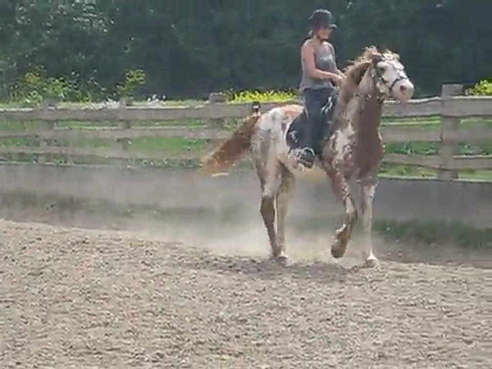 2ème seance plat suite