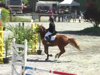 E22 15 mai 2011 Cso plerin