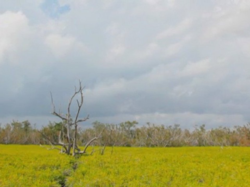 011160_2m20s_24fps 1080p HD