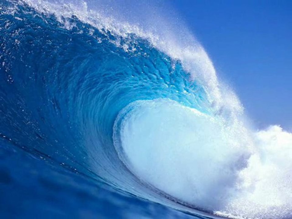 Shake The Disease - Orchestrating Noise (Electro Mode)