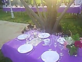 bodas camperas la bambina