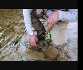 Chéran, nymphe au fil début Mai 2011