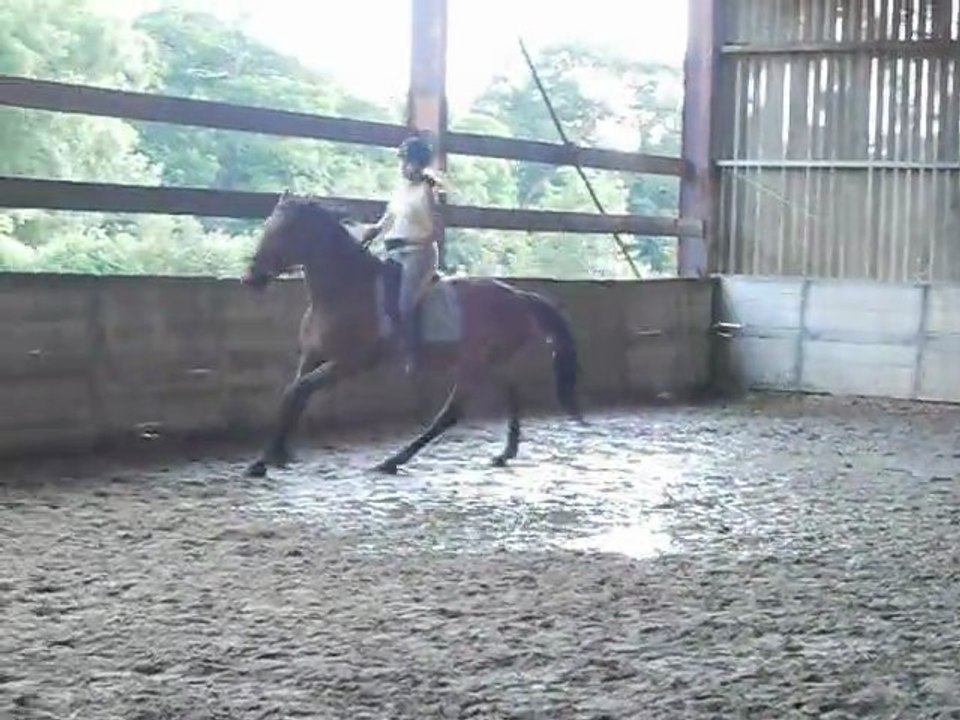 RAVENA Galop1