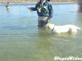 Fido fa il pescatore