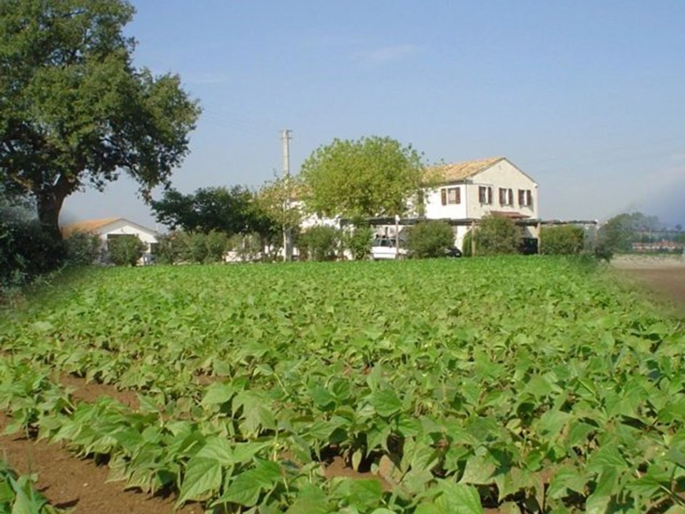 Agriturismo Teramo