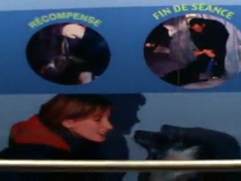 Océanopolis visité par des journalistes à Brest 3