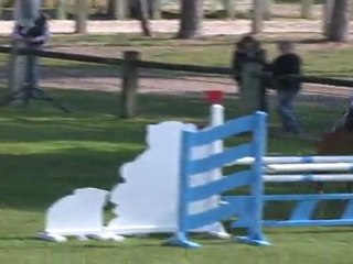 BIP FONTAINEBLEAU 2011 MAERTE JUSTINE