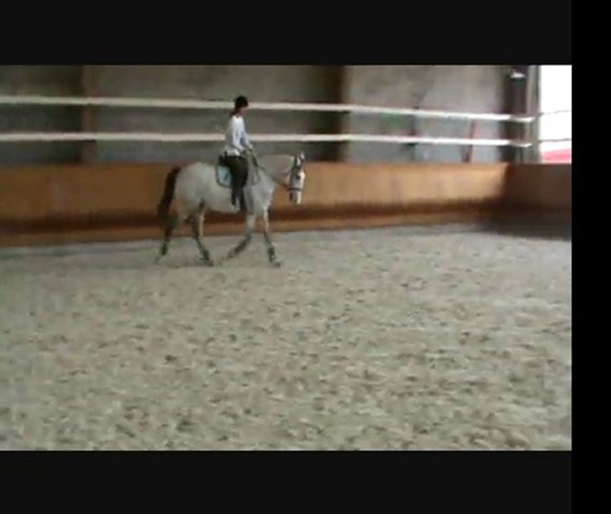 Stage Pierre Pradier lolo 2eme séance