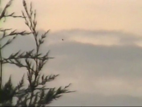 Daytime disc-shaped UFO over Tennessee, US 3-Aug-2003