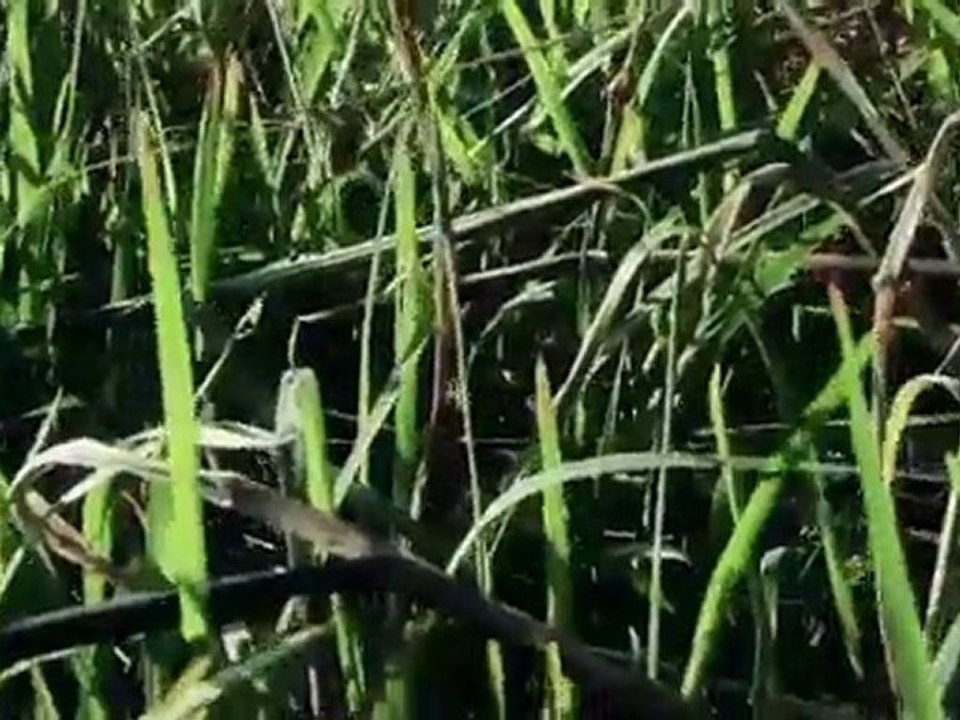 Skate trip à Majorque avec les skaters belges du team DAKINE  - This is DK#skate