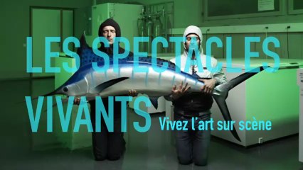 Spectacles vivants | Présentation 2