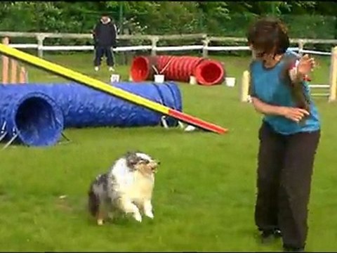 agility st brieuc exposition Laurence et crunch 8 mai 2011