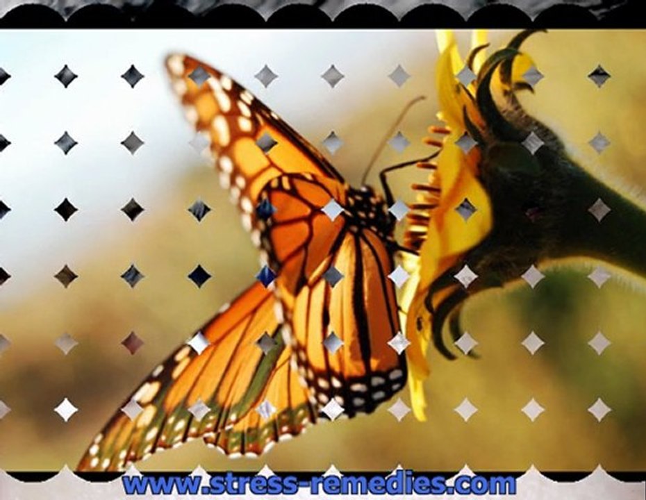 Looking For Natural Stress Relief Techniques?