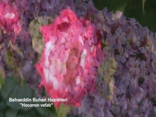 Behâeddin-i Buhari hazretleri ( Talebelerinin anlatımıyla  vefatı.. )