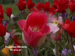 Bir avuç un , suyu kuyusu  Peygamber Efendimizin mucizelerinden..