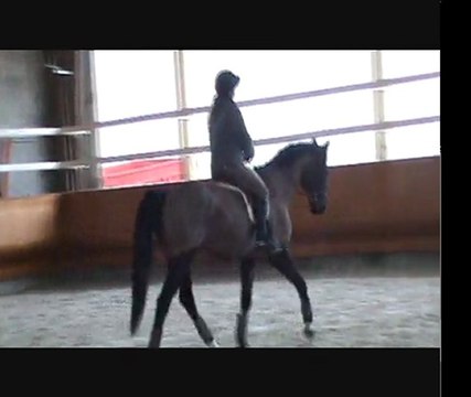 stage pierre pradier cecile 2éme séance partie1