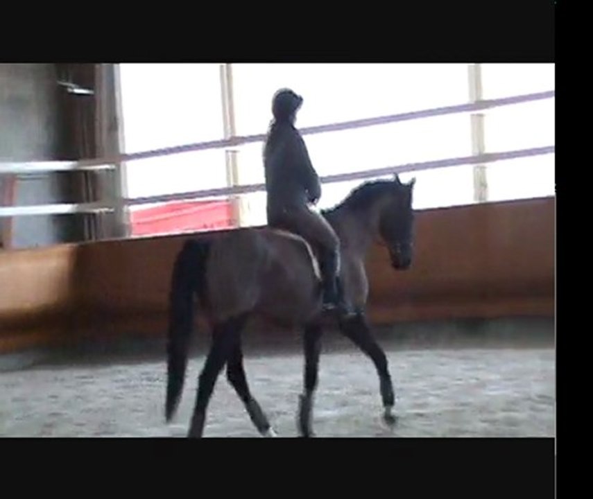 stage pierre pradier cecile 2éme séance partie1