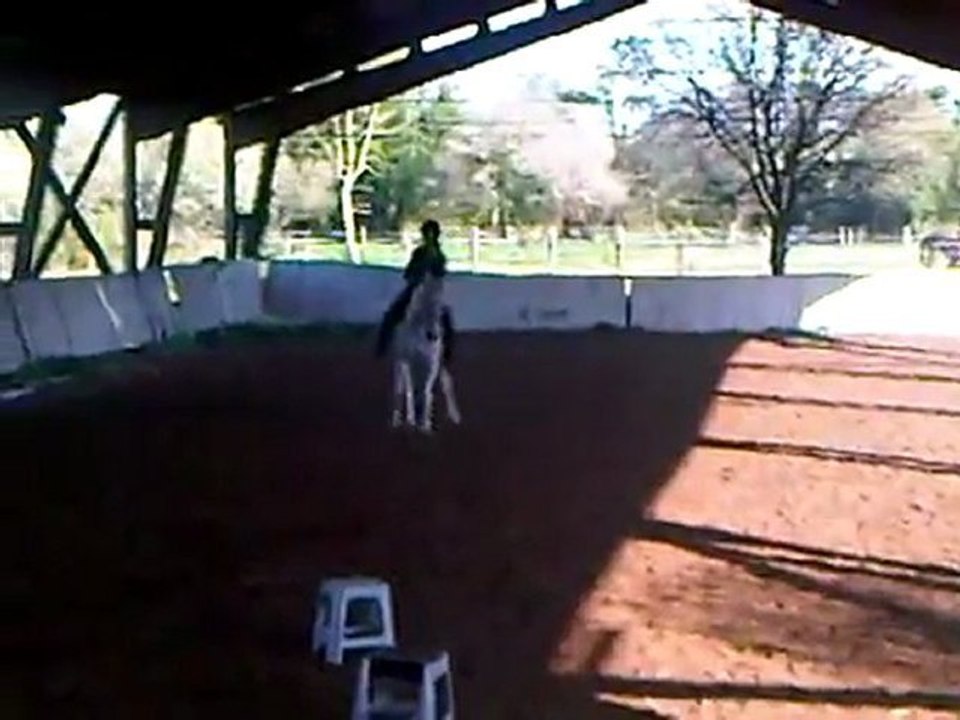 Pâques 2011 - Déplacements des hanches sur ligne droite