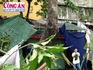 Thành phố Vinh tan hoang sau bão số 3