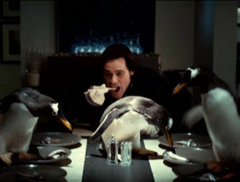 Los pingüinos del Sr. Poper - Ponga un pingüino en su vida