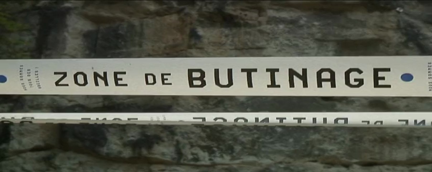 Rucher du Rocher