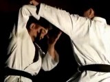 Self défense - Techniques de Karate