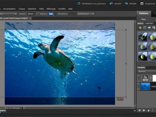 Adobe Photoshop Elements 9 : Le recadrage d'une image