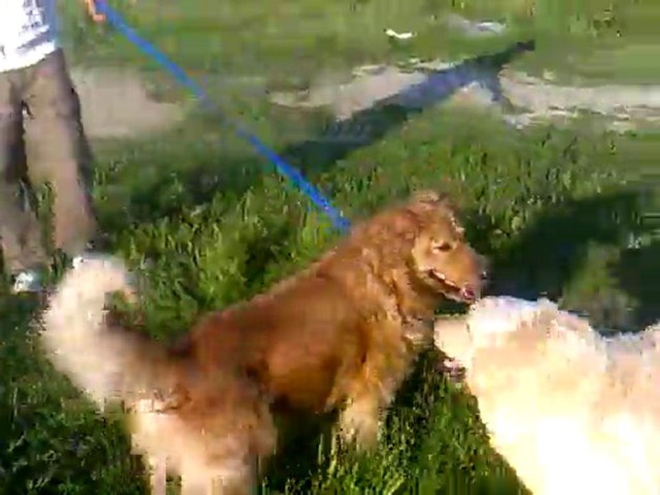 pascal&beyaz
