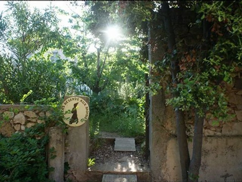ST HONORAT