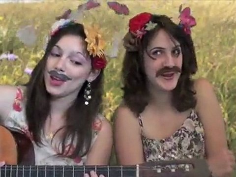 La chasse aux papillons - Brassens