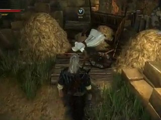 The Witcher 2 - Assassin's Creed Easter Egg [HQ]