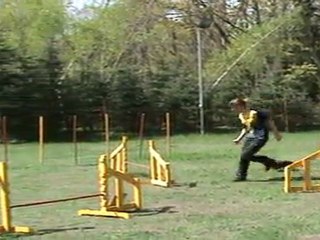 "Zuikelio taurė" - GabijaxLiza3