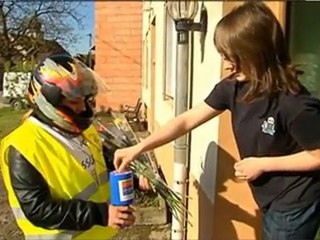 Video mosaik rose espoir Sarralbe 2011