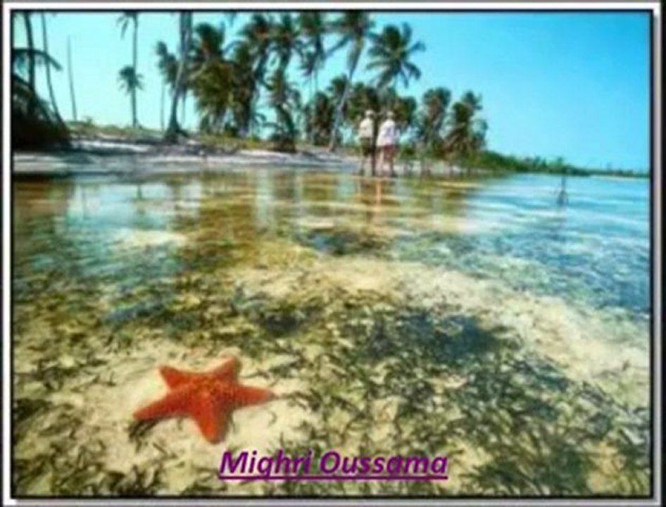 OMRI OMRI...SWEET RAI SENTIMENTALE