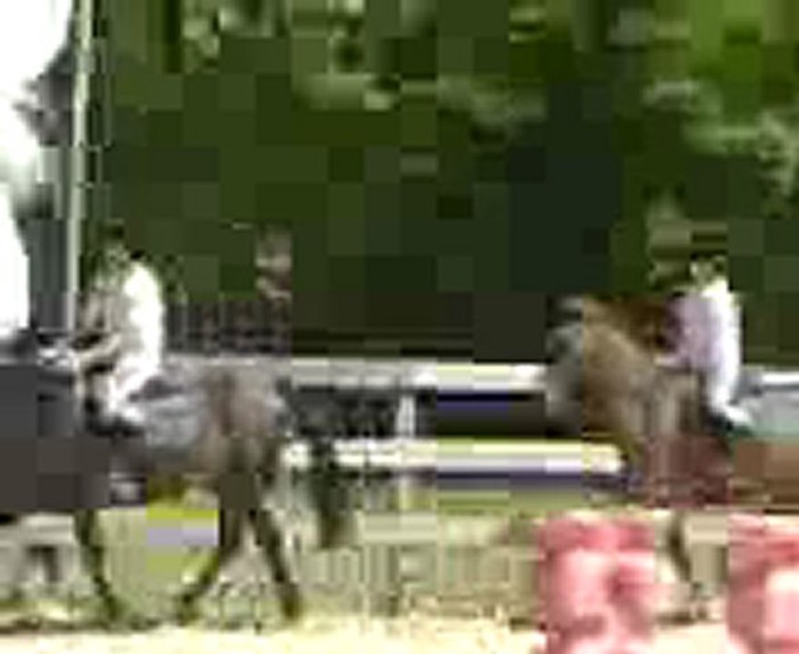 Stage de ma soeur pour son galop 3 (Détente)