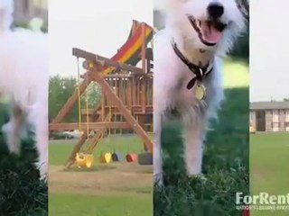 Port O' Call Apartments in Indianapolis, IN - ForRent.com