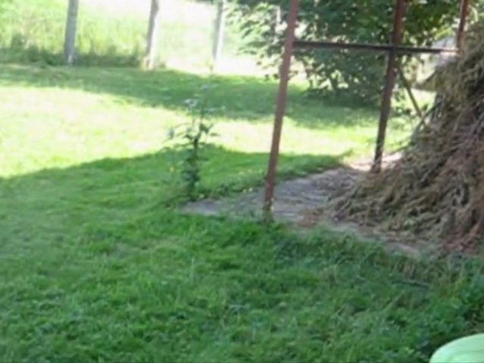 Chouchou dans sa famille